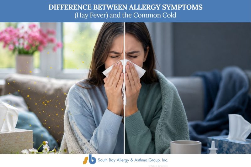 Difference Between Allergy Symptoms (Hay Fever) and the Common Cold