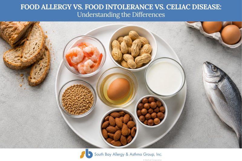 Food Allergy vs. Food Intolerance vs. Celiac Disease Understanding the Differences